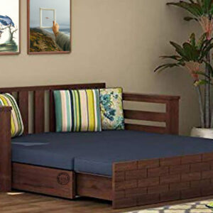 Delha Sofa Cum Bed