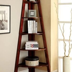 Fronex Ladder Bookshelf